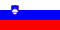 Slovenian Flag